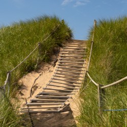Pathway over the dunes to the beach.