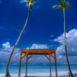 palmtrees beach night