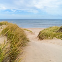 PEI sand dune beach view