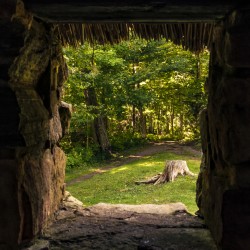 Cuban Pelican flying with blue sky