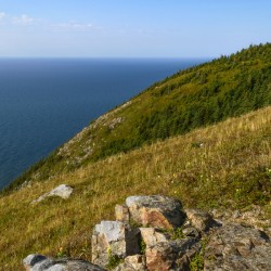 Skyline trail Cape Breton Hills