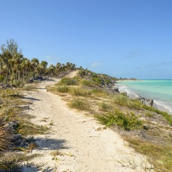 Walk on Cuban Dunes Ocean