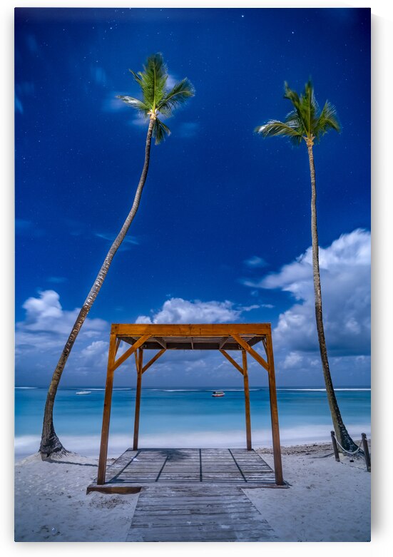 palmtrees beach night by Justin Richard Batten