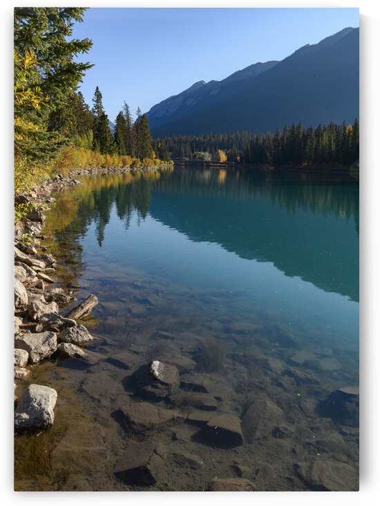 Bow River Banff with mountains 2-2 by Justin Richard Batten