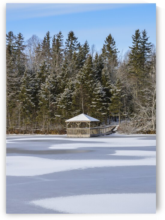 Bird sanctuary pond winter by Justin Richard Batten