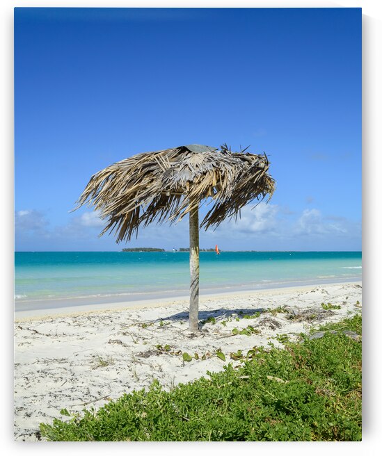 Beach Umbrella cuban by Justin Richard Batten