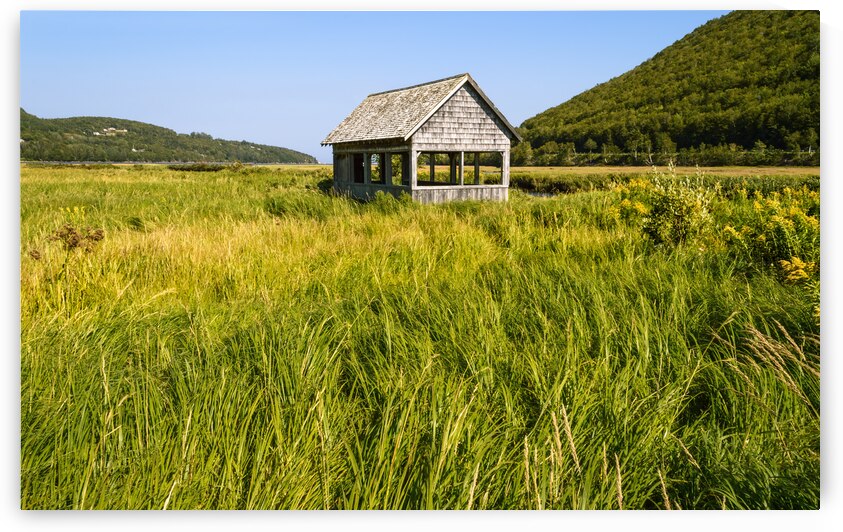 Cape Breton valley 2 by Justin Richard Batten