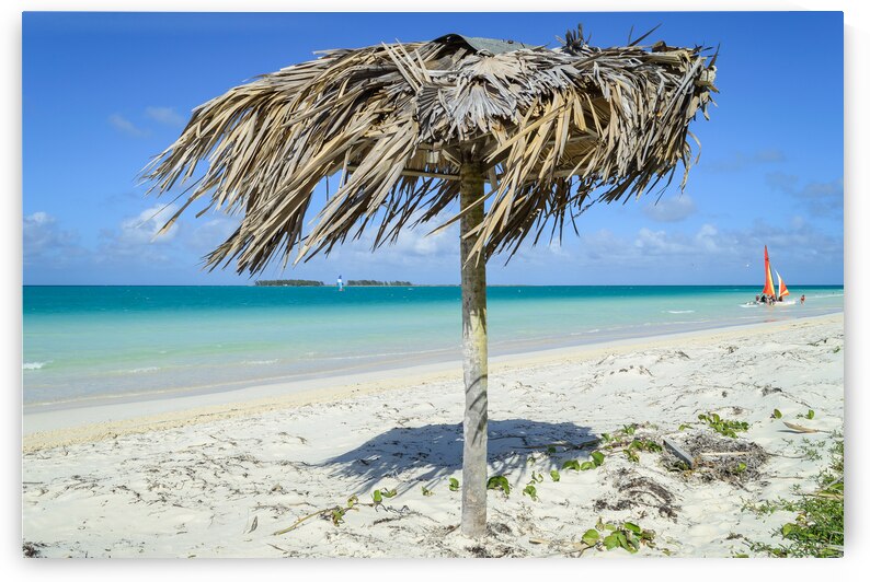 Beach umbrella cuban 2 by Justin Richard Batten