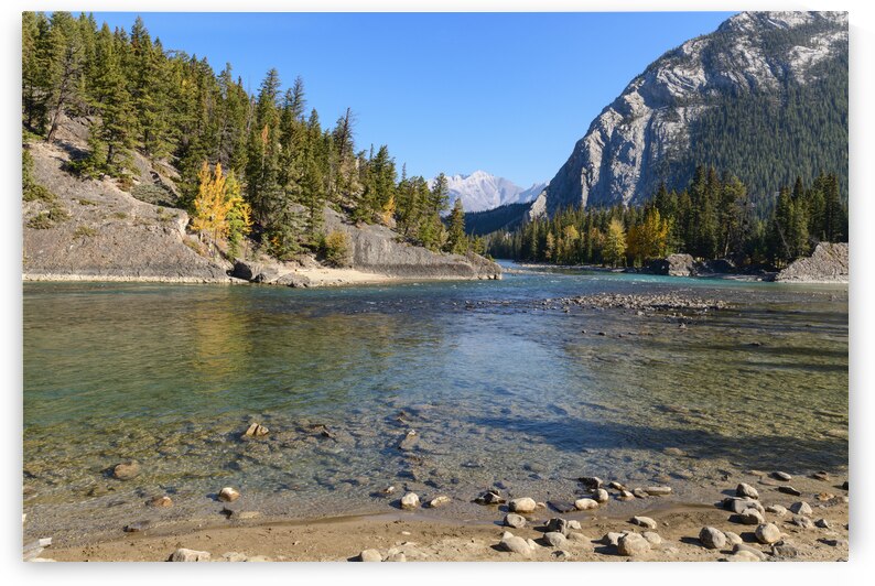 Banff Bow River shore and mountains by Justin Richard Batten