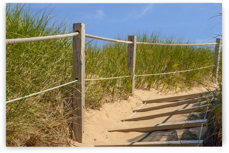 Path Almost at the beach by Justin Richard Batten