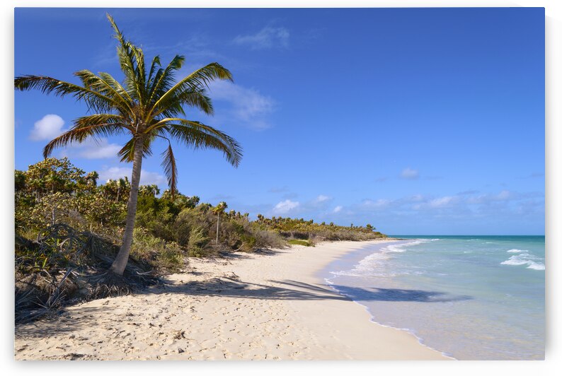 Cayo Coco Cuba beach by Justin Richard Batten