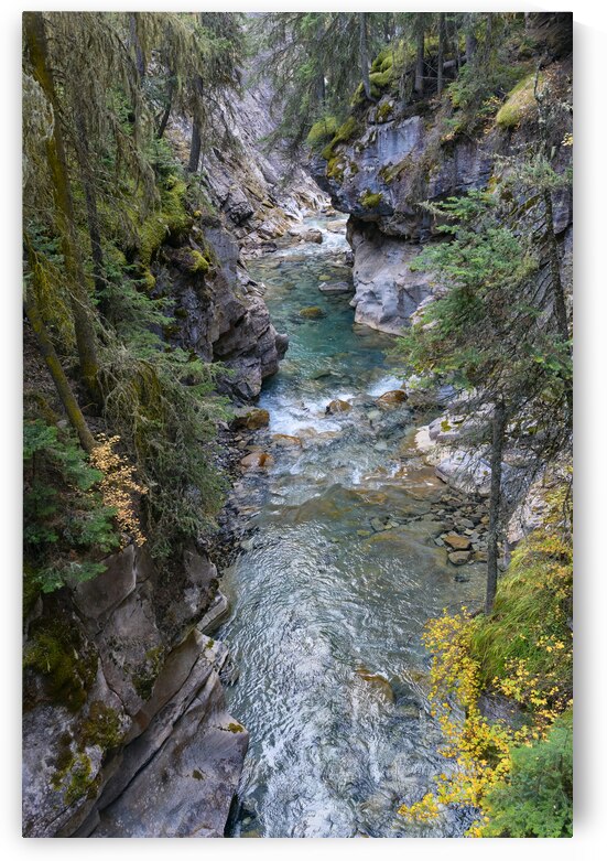 Johnston Canyon river by Justin Richard Batten