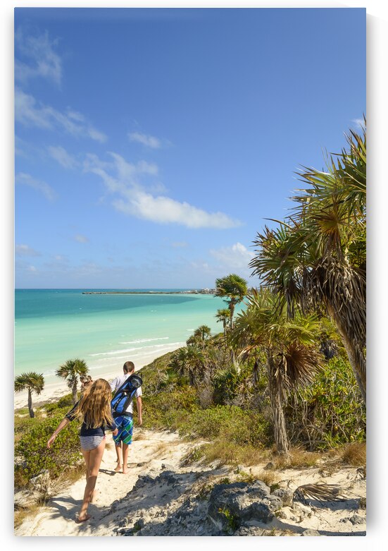 sand dune walk next to aqua ocean by Justin Richard Batten