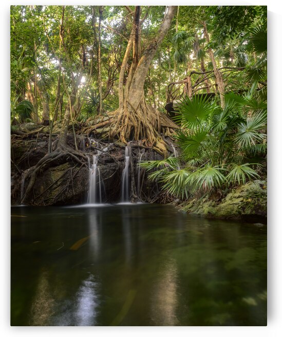 jungle tree waterfall by Justin Richard Batten