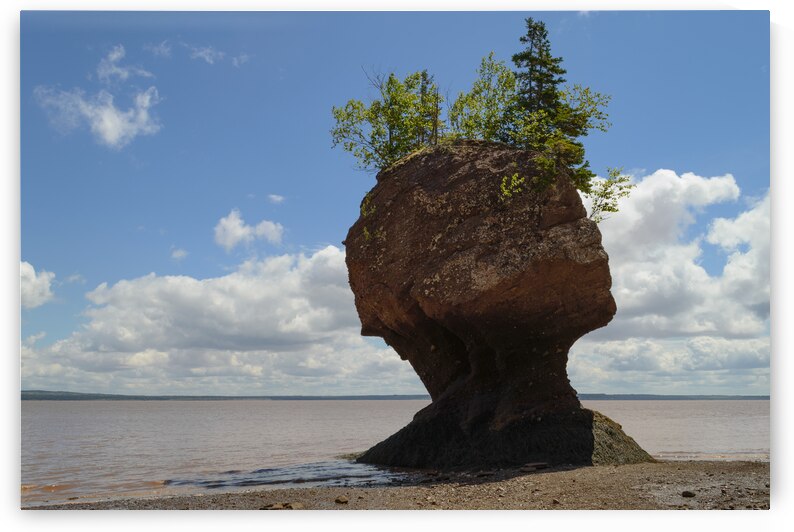 hopewell rock head silhouette-2 by Justin Richard Batten