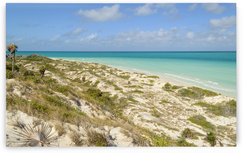 Cuban Dune View Ocean by Justin Richard Batten