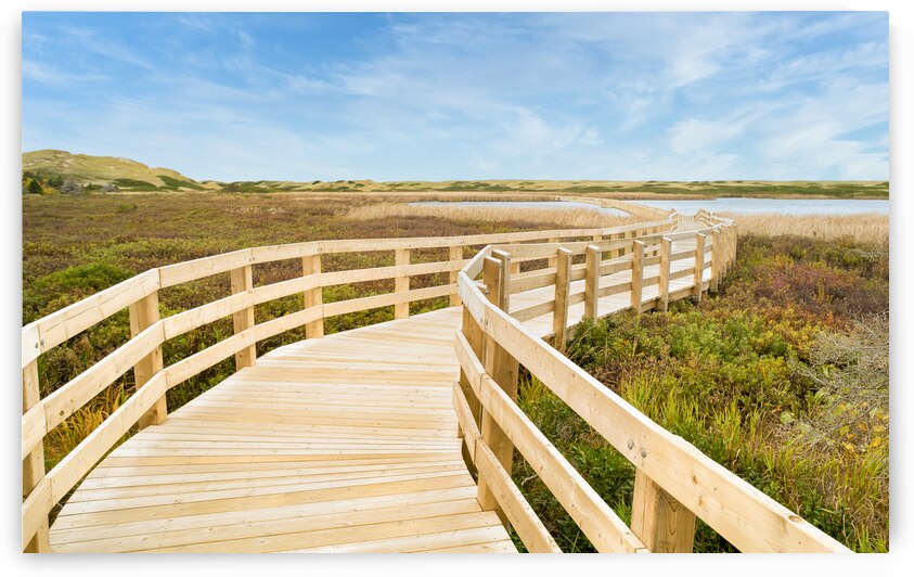 Greenwich boardwalk trail by Justin Richard Batten