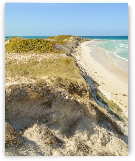 Cayo Coco Cuban Dune by Justin Richard Batten