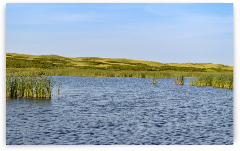 Greenwich grass dune on sky background by Justin Richard Batten