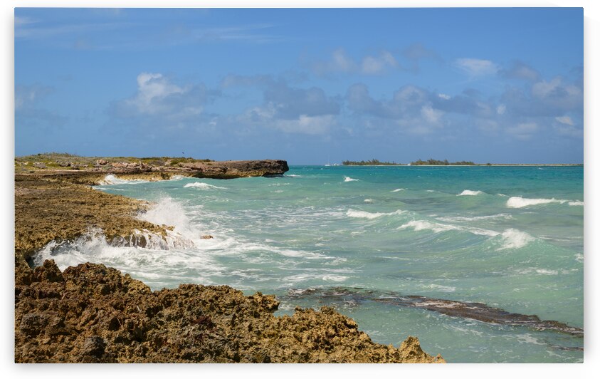 Cuban coral shore ocean view by Justin Richard Batten
