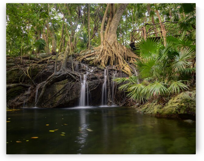 jungle tree waterfall 2 by Justin Richard Batten