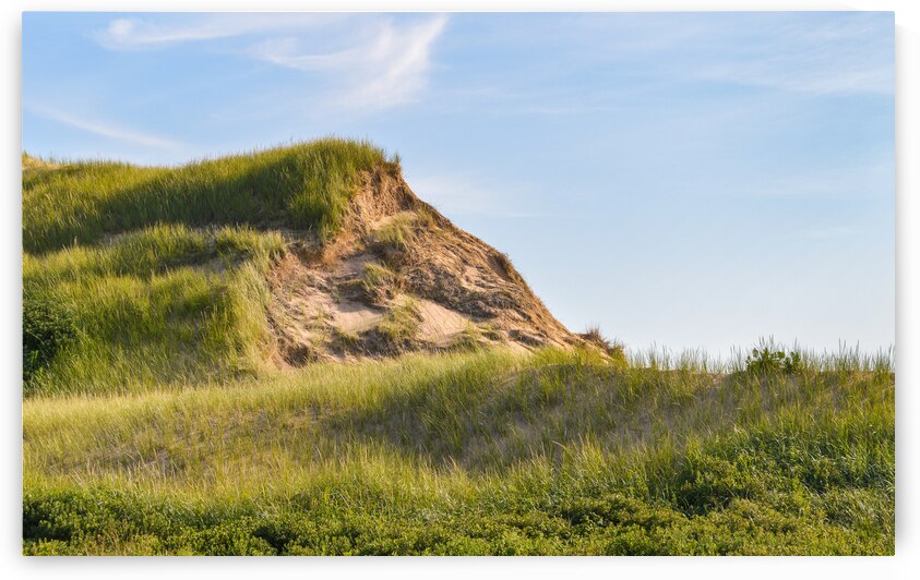 Greenwich grass dune on sky background by Justin Richard Batten