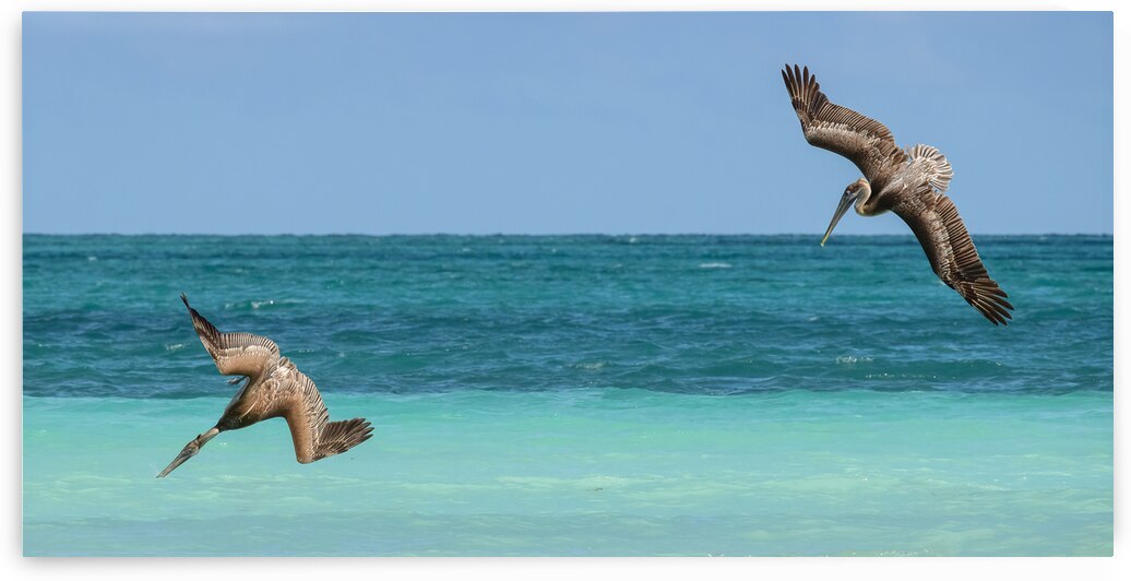 Pelican Cuban 4 Cuba by Justin Richard Batten