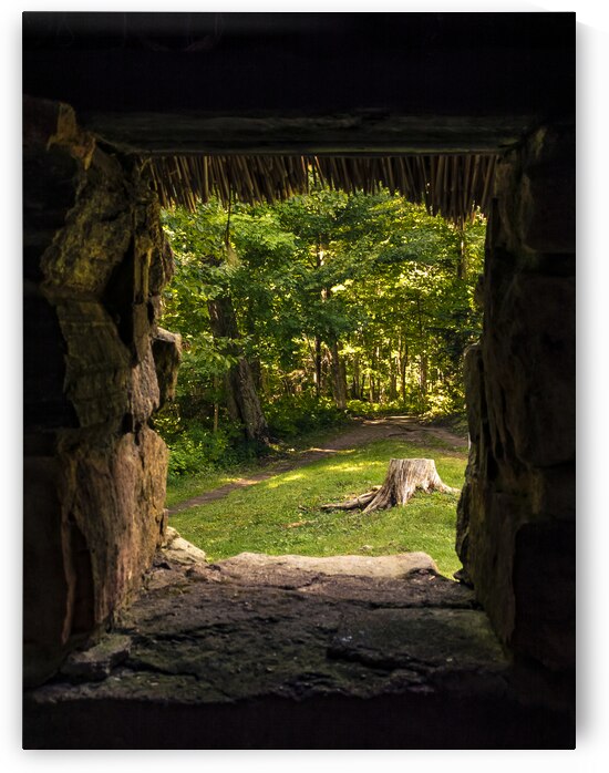 Cuban Pelican flying with blue sky by Justin Richard Batten