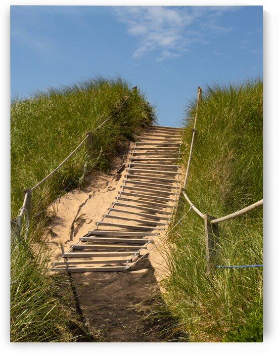 Pathway over the dunes to the beach. by Justin Richard Batten