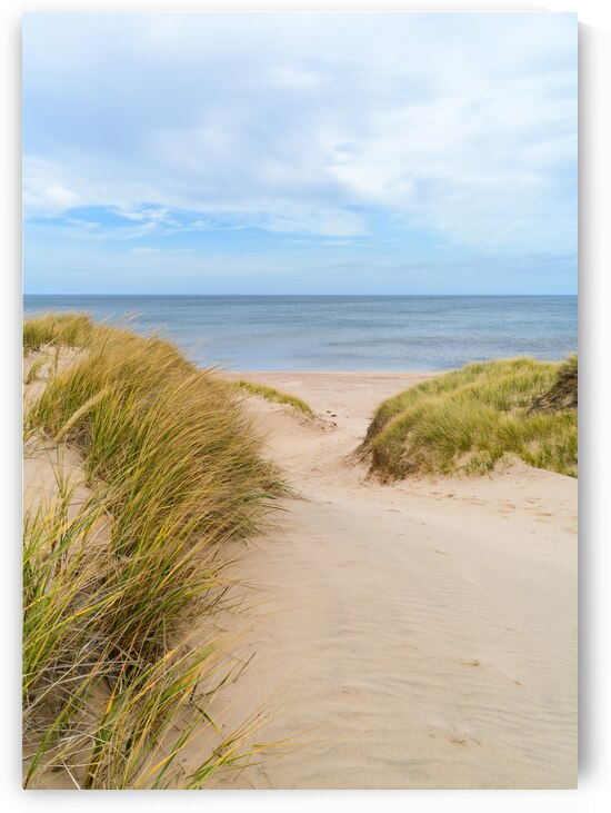 PEI sand dune beach view by Justin Richard Batten