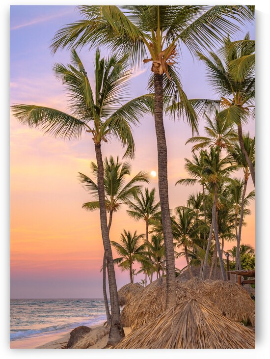Palmtrees on coloured sky with moon by Justin Richard Batten
