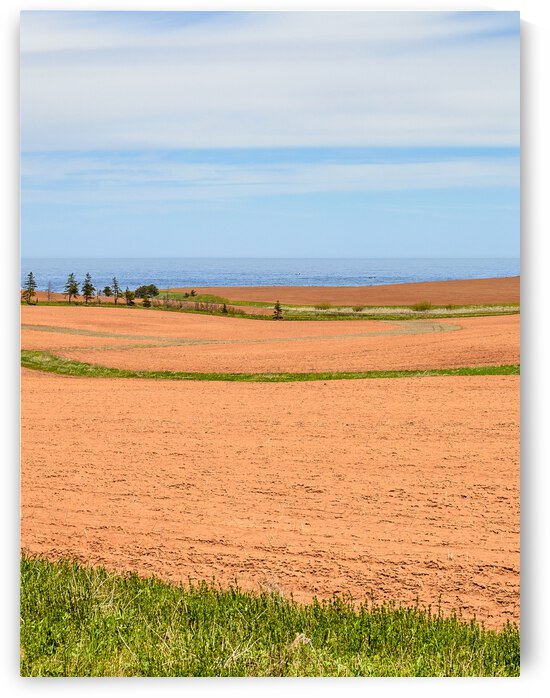 PEI red sand farm fields by Justin Richard Batten