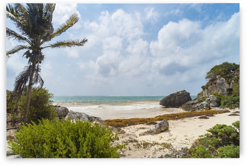 Tulum beach ocean view 3 by Justin Richard Batten