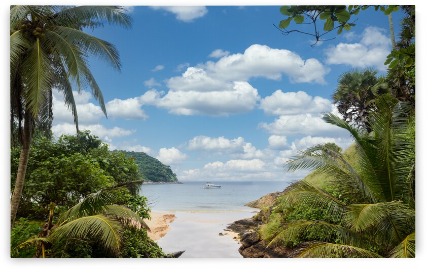 Ya-Nui beach lookout by Justin Richard Batten