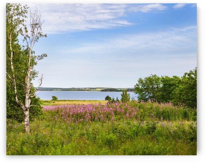 Prince Edward Island field view with ocean by Justin Richard Batten