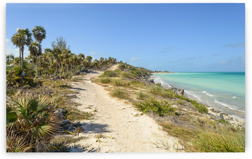 Walk on Cuban Dunes Ocean by Justin Richard Batten