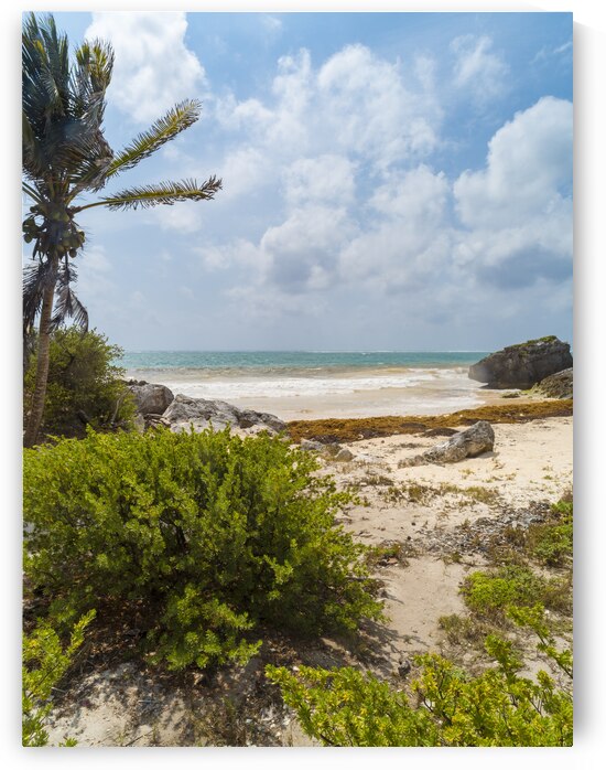 Tulum beach ocean view 2 by Justin Richard Batten