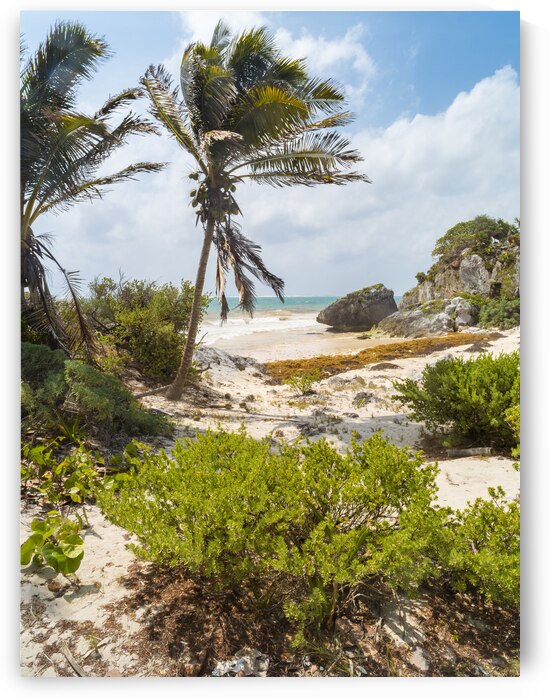 Tulum beach ocean view 4 by Justin Richard Batten