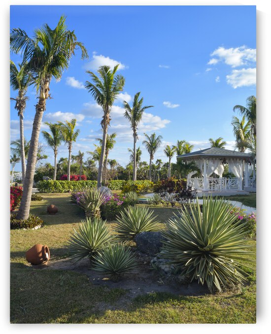 Cuban resort tropical garden by Justin Richard Batten