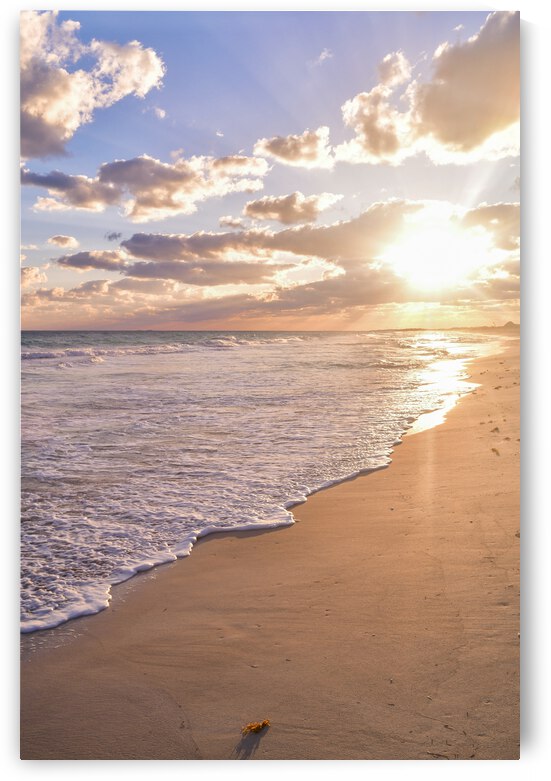 Cuban beach sunrise tiny seaweed by Justin Richard Batten