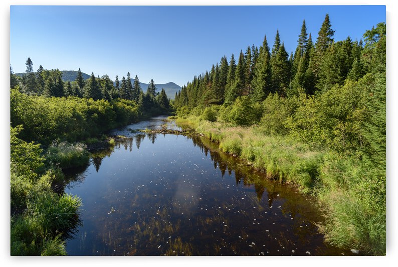 Mount Katahdin campsite Nesowadnehunk river by Justin Richard Batten