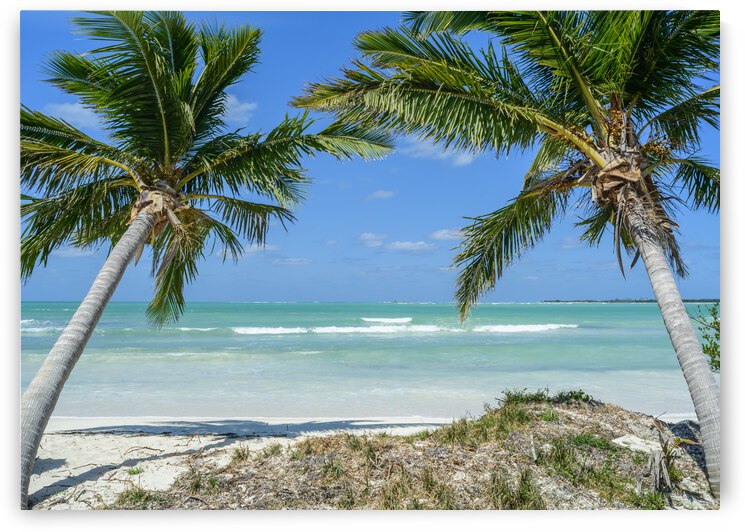 Cuban beach with 2 palmtrees by Justin Richard Batten