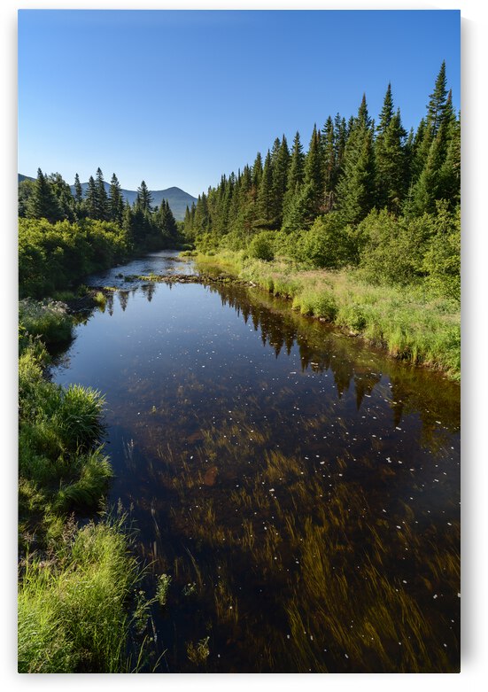 Mount Katahdin campsite Nesowadnehunk river 2 by Justin Richard Batten