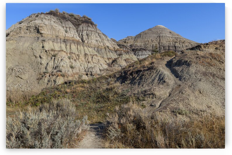 horseshoe canyon 2456 by Justin Richard Batten