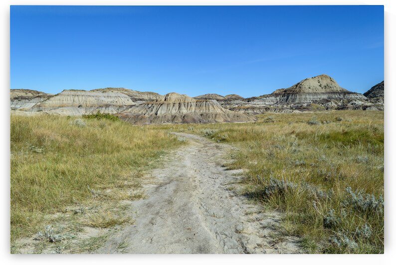 horseshoe canyon path 1540 by Justin Richard Batten