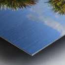 2 palms on Cuban dunes Metal print