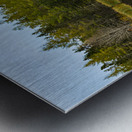 Bird sanctuary pond reflection Metal print