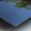 Hopewell Rock head silhouette Metal print