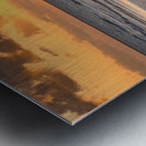 Caribbean driftwood sunset Metal print