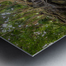 jungle tree waterfall 2 Metal print